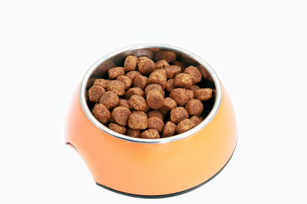 Pros and Cons of Dry Food